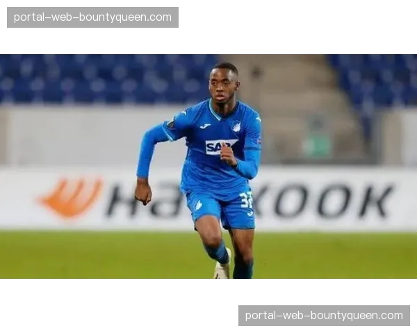 奥格斯堡vs霍芬海姆,德甲中游球队对决 奥格斯堡vs霍芬海姆,德甲中游球队对决